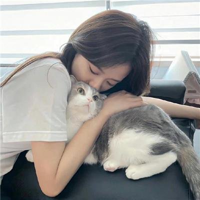 铁拳：血脉